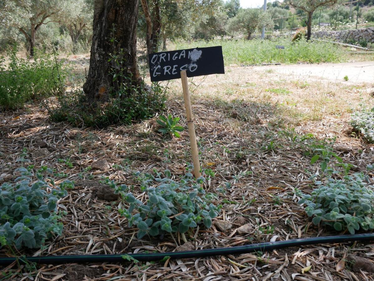 فيلا Pantalica Ranch Agriturismo Siciliano Sortino المظهر الخارجي الصورة