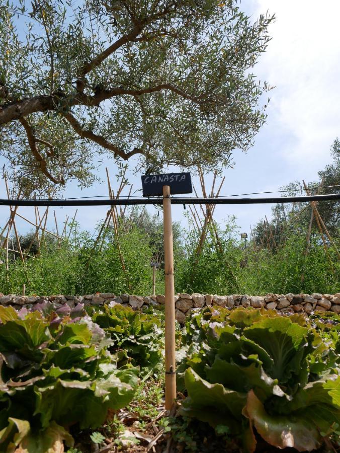 فيلا Pantalica Ranch Agriturismo Siciliano Sortino المظهر الخارجي الصورة