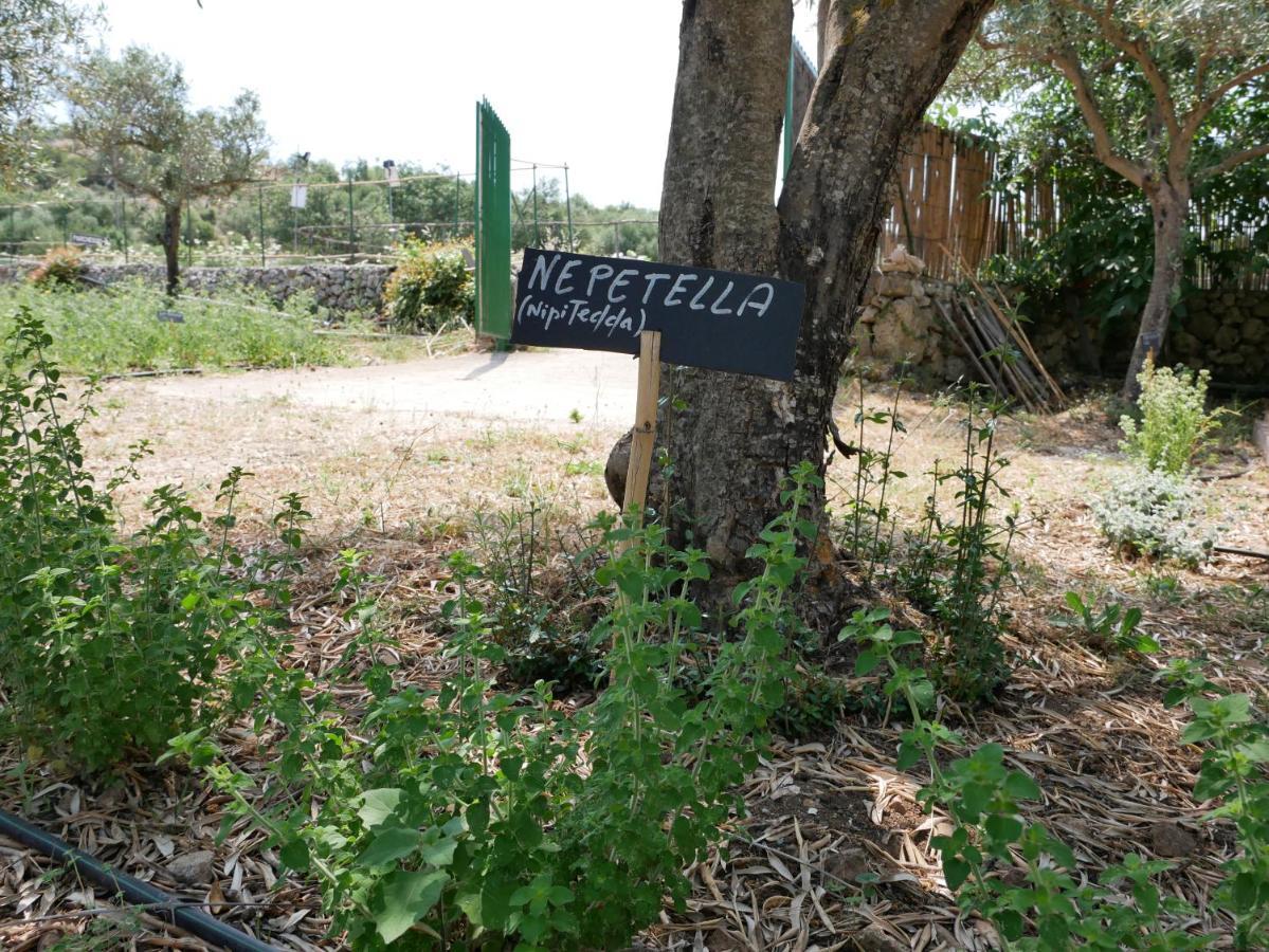 فيلا Pantalica Ranch Agriturismo Siciliano Sortino المظهر الخارجي الصورة