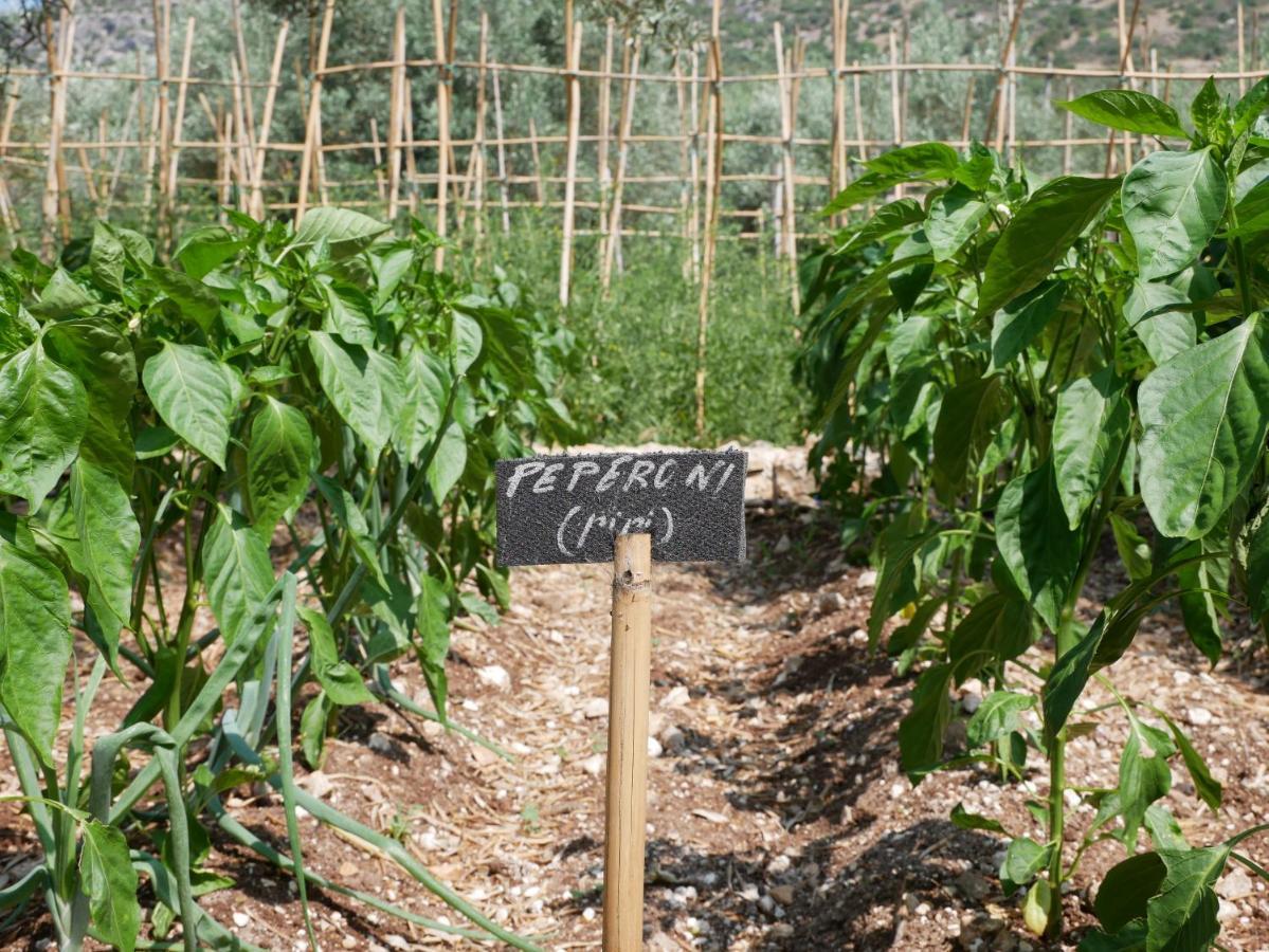 فيلا Pantalica Ranch Agriturismo Siciliano Sortino المظهر الخارجي الصورة