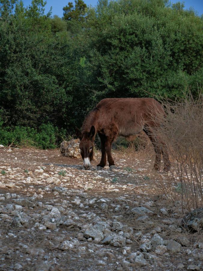 فيلا Pantalica Ranch Agriturismo Siciliano Sortino المظهر الخارجي الصورة