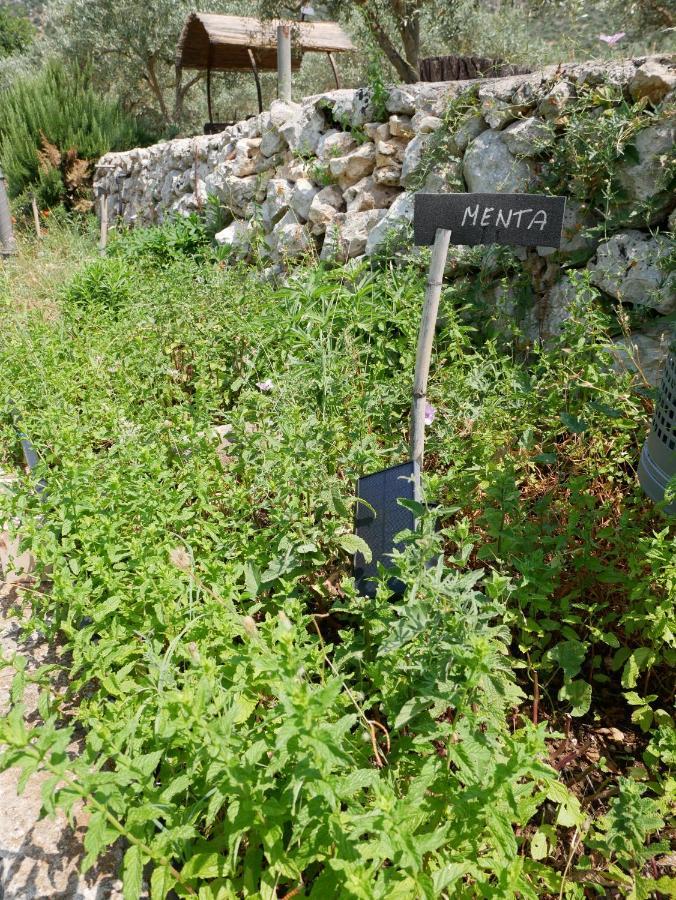 فيلا Pantalica Ranch Agriturismo Siciliano Sortino المظهر الخارجي الصورة