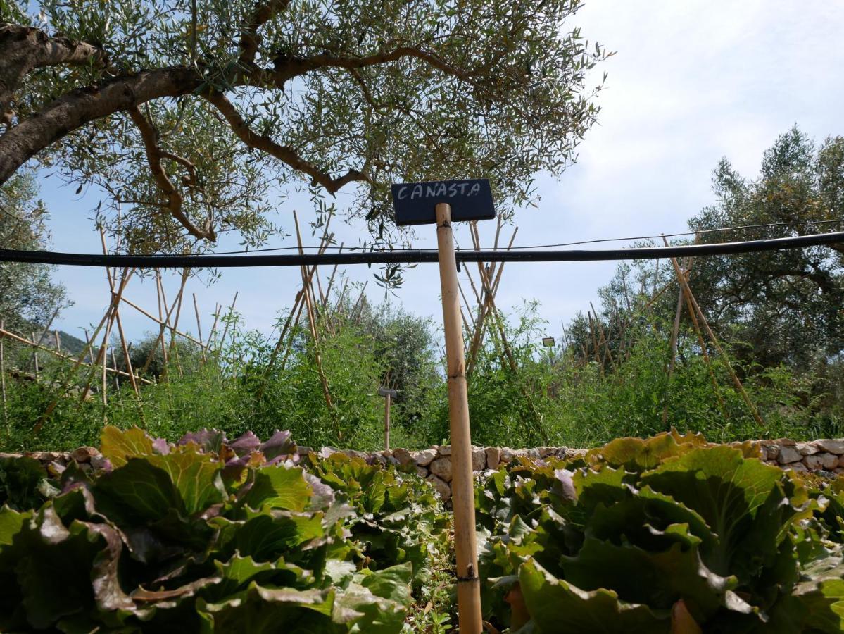 فيلا Pantalica Ranch Agriturismo Siciliano Sortino المظهر الخارجي الصورة