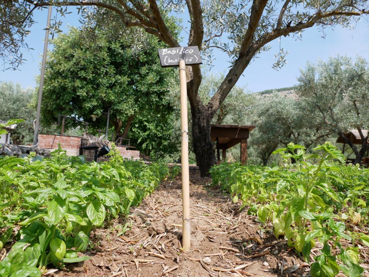 فيلا Pantalica Ranch Agriturismo Siciliano Sortino المظهر الخارجي الصورة